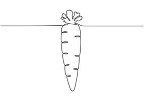 Continuous line drawing of a carrot. Minimalist illustration for food and vegetable concepts. vector
