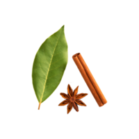 Dried bay leaf with fresh cinnamon on transparent background png