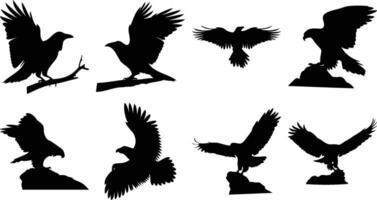 Flying Bird Flock Silhouettes Set vector