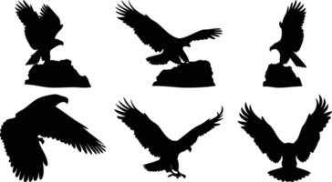 Soaring Eagle and Hawk Silhouette Collection vector