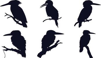 Kingfisher Silhouettes Set vector