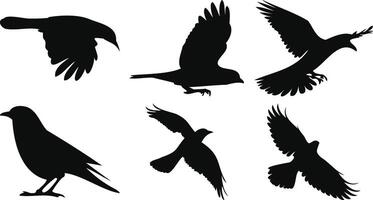 Dynamic Flying Birds Set vector