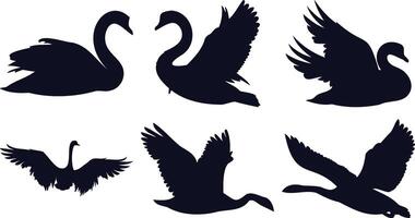 Graceful Swan Silhouettes vector