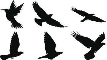 Lightweight Birds Gliding in the Air vector