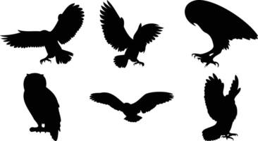 Silhouettes of Owls in Different Positions vector