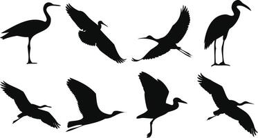 Heron and Egret Bird Silhouettes in Flight vector