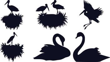 Swans and Nesting Birds vector