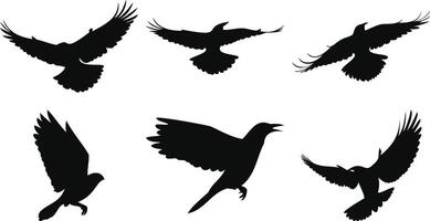 Small Birds in Flight Shapes vector