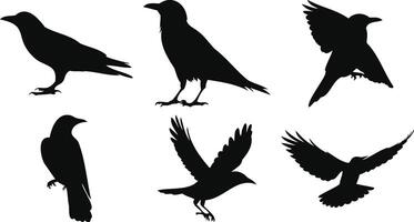 Perched and Flying Birds Vectors