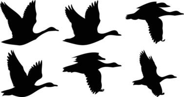 Migrating Birds in Motion Silhouettes vector