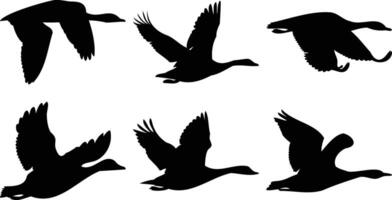 Goose and Duck Flight Silhouettes vector
