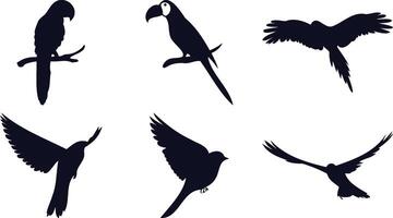 Birds in Flight with Extended Wings vector