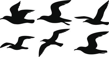 Migratory Birds in Motion vector