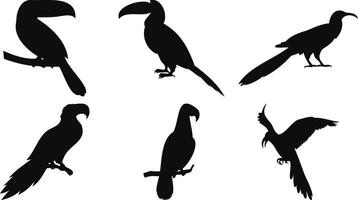 Exotic Bird Set in Silhouettes vector