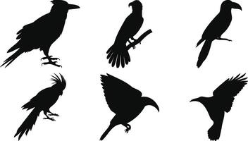 Minimal Bird Pose Silhouettes vector