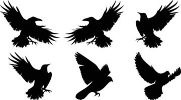Dramatic Bird Flight Set vector
