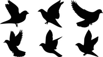 Birds in Soft Flight vector