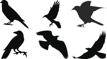Mixed Perched and Flying Birds vector