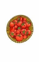 Fresh fruit red tomatoes on beautiful Rattan basket vector