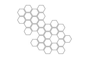 Honeycomb pattern. Hand drawn sketch Propolis honey comb. Image bee wax. Bee honey and propolis doodle isolated on white background. vector
