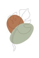 Boho abstract leaves organic spots poster. Nursery minimalist botanical poster. Abstract trendy shapes, leaf, line art background. Stock illustration isolated on white background. vector
