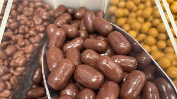 almonds in chocolate, rotation in circle. almonds in white chocolate, dark and milk chocolate, Turning. Chocolate-covered almonds video