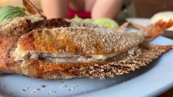 Pan-fried fish.The shows the process of cooking fried fish in a skillet. Chunks of golden, crispy fish are browned in oil while a fork pulls off a juicy piece. The fatty, video