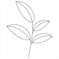 Single Line Drawing of Leafy Plant Minimal Botanical Nature Art vector