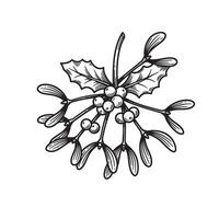 Vintage art illustration of mistletoe branch with berries and holly leaf on white background vector