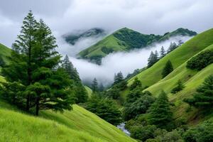 Fog rolling over green hills and trees in springtime photo