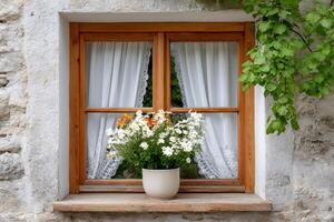 White flowers growing in a pot placed on the windowsill of a wooden window photo