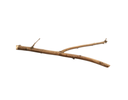 Dry Brown YShaped Twig with Rough Texture and Small Branches. png