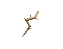 Sharp Angled Thorny Branch with Light Brown Bark and Pointed Thorns. png