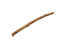 Slender Brown Twig with Small Knots and Rough Texture. png