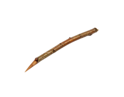 Sharpened Twig Brown and Gray Pointed End Natural Texture. png