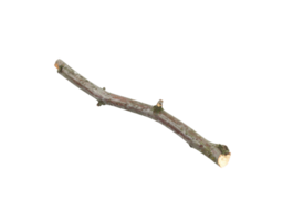 GrayishBrown Curved Twig with Small Branches and Knots. png