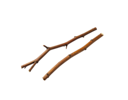 Two Small Brown Twigs with Knots and Small Branches Isolated. png