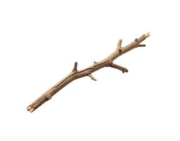Dry Light Brown Tree Branch with Small Knots and Cracks. png