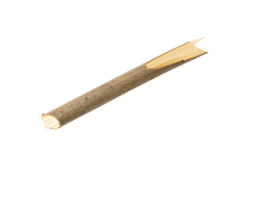 Sharpened GreyBrown Twig with Split End Natural Wood Texture. png