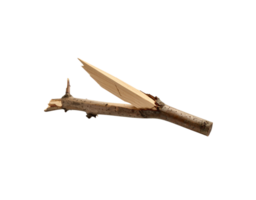 Split Wooden Twig with Light Brown Splinter Rough Texture Natural Appearance. png