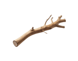 Light Brown Dried Tree Branch with Knots and Small Branches. png