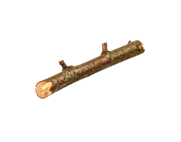 Brown Twig with Moss and Small Branches Isolated. png