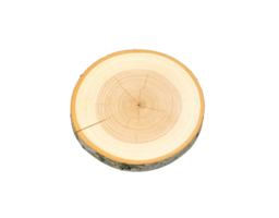 Light Beige Wood CrossSection Slice Circular Tree Trunk Disc with Visible Growth Rings and Cracks. png