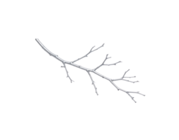 Silverpainted twig with delicate branching pattern showcasing a natural yet stylized form. png