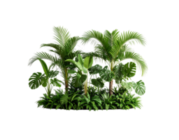 Lush Tropical Greenery Cluster Palm Trees Monstera Ferns. png