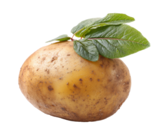 Fresh potato with green leaves on a white surface for culinary use png