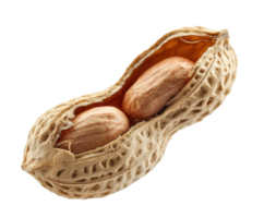 Fresh and natural peanut lying in its shell for healthy snacks png
