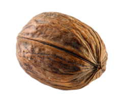Nut with textured shell suitable for culinary use and decoration png