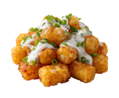Crispy tater tots topped with creamy sauce and green onions png