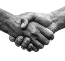 Unity and Cooperation shown through a handshake between hands png